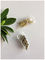 Χαλαρός γυαλισμένος καρφίτσα παλαιός ορείχαλκος αρθρώσεων πορτών χυτοσιδήρου τύπων φλυτζανιών που καλύπτεται με τις βίδες